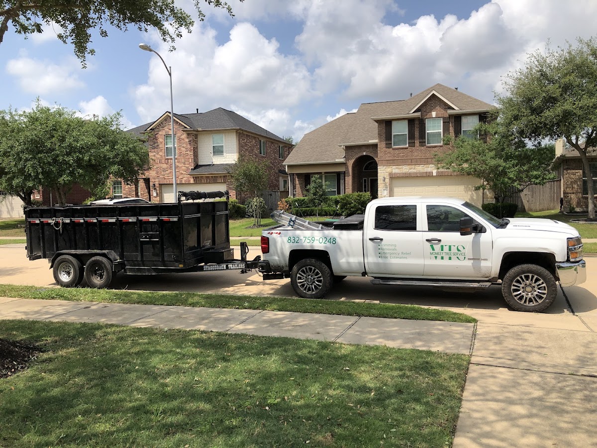 Monkey Tree Service truck on a Katy TX job