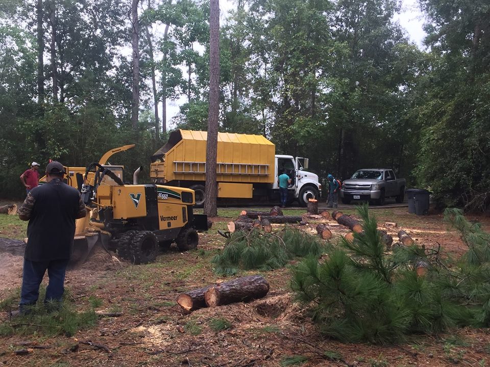 Monkey Tree Service crew with Vermeer chipper on a large job