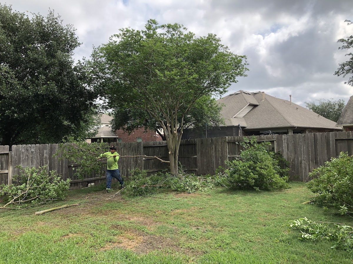 Monkey Tree Service crew member clearing branches