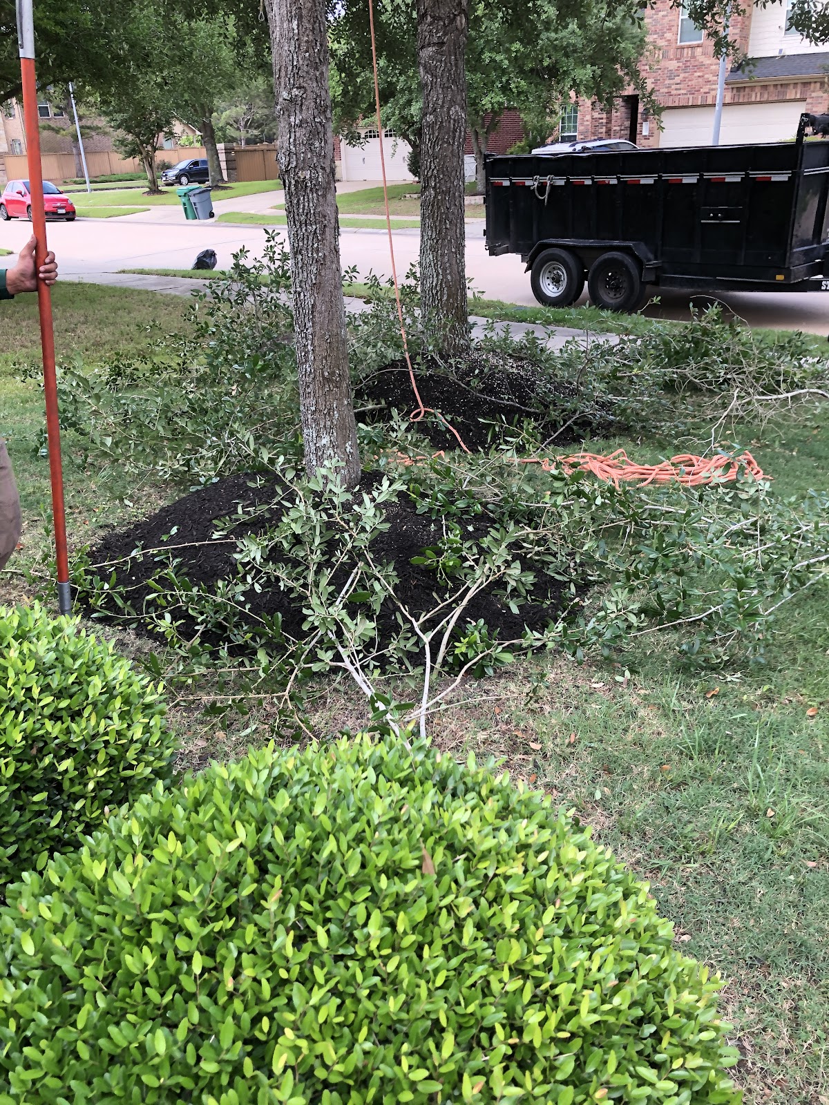 Pruning work with trailer visible